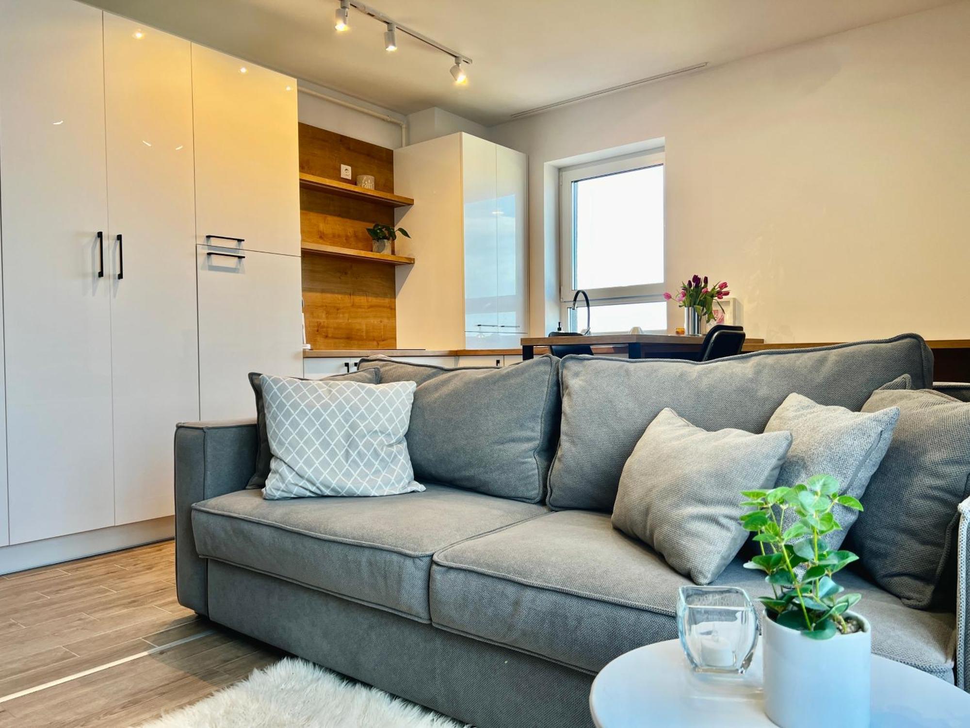 Blue Boho Studios And Apartments Brasov Luaran gambar