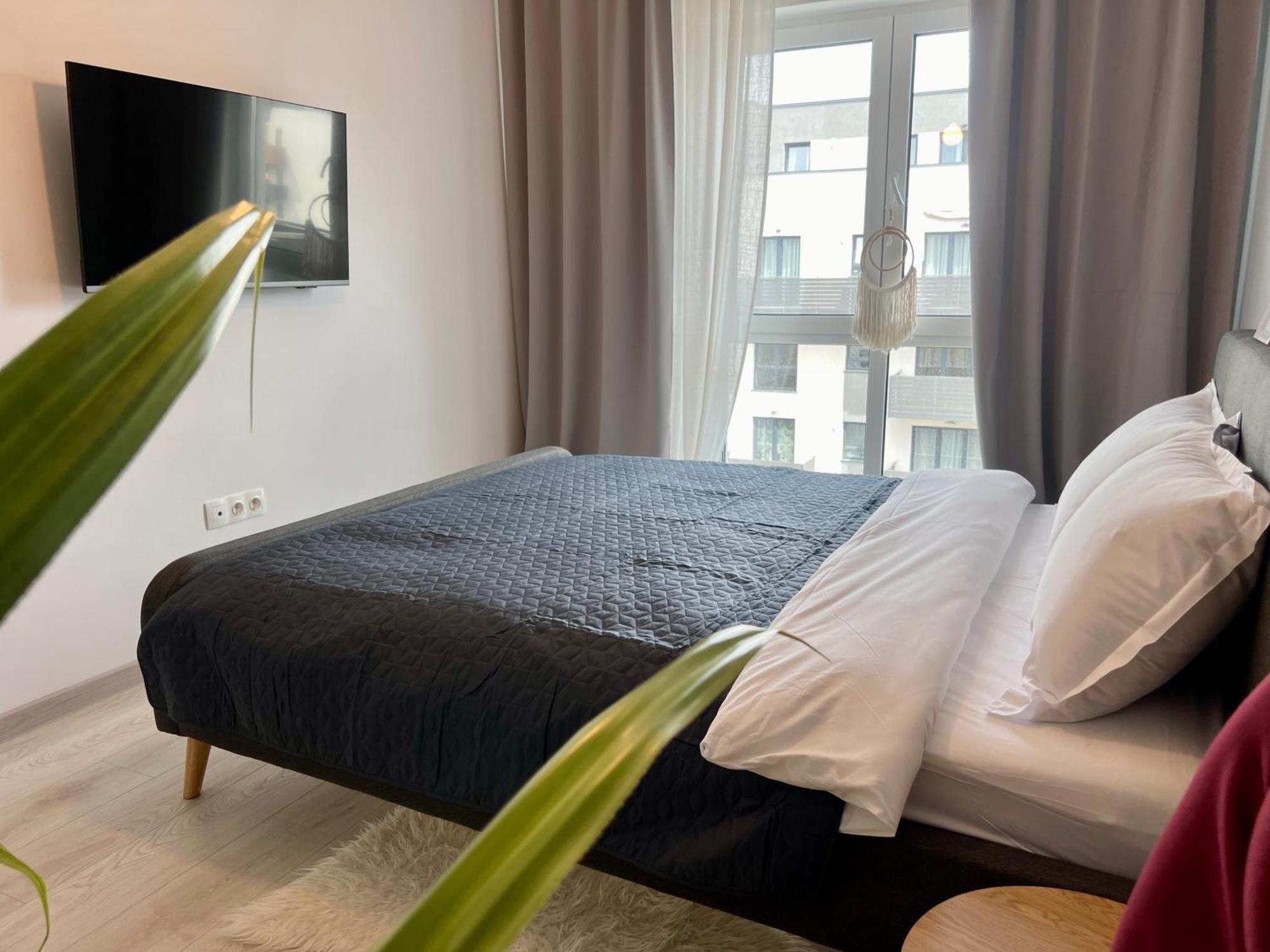 Blue Boho Studios And Apartments Brasov Luaran gambar