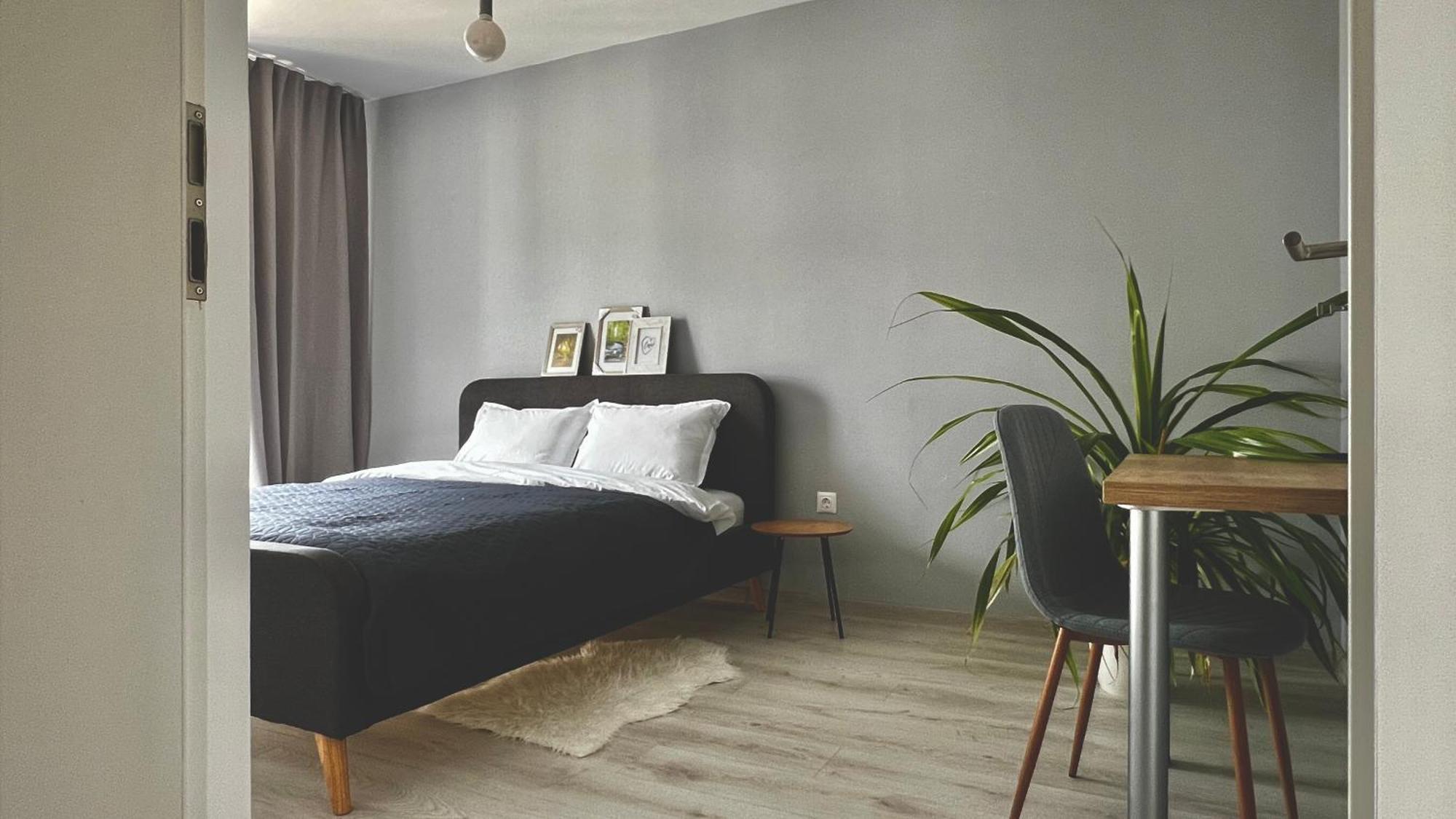 Blue Boho Studios And Apartments Brasov Luaran gambar