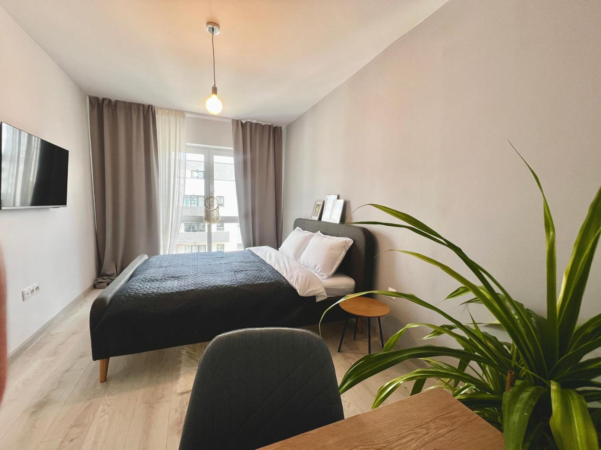 Blue Boho Studios And Apartments Brasov Luaran gambar